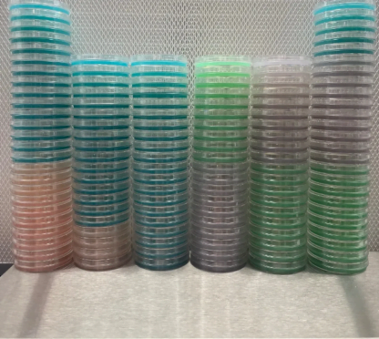 Agar Plates