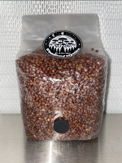 Red Milo Spawn Bag 2lb