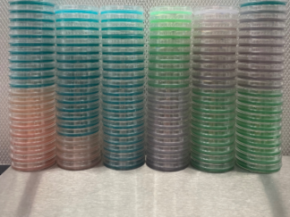 Single Agar Plate (Random)